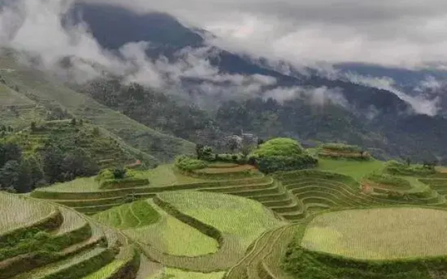 Longji Rice Terraces Jiamei Pavilion