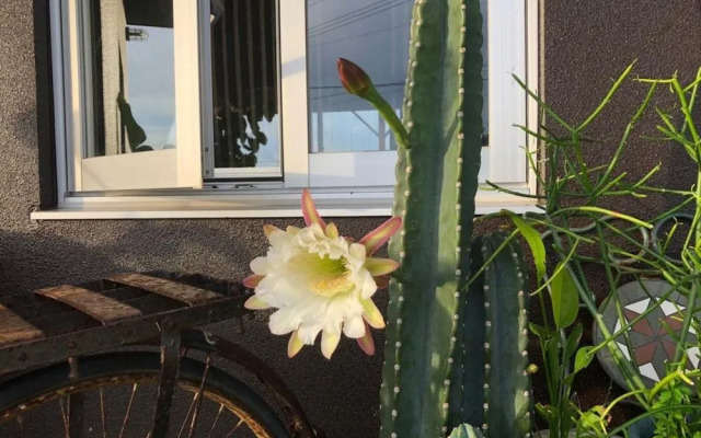 B&B Tandem