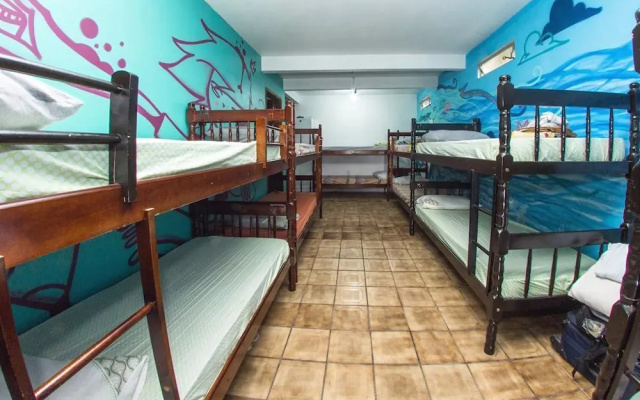 Natural Hostel