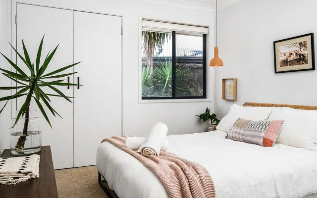 Bangalow Palms