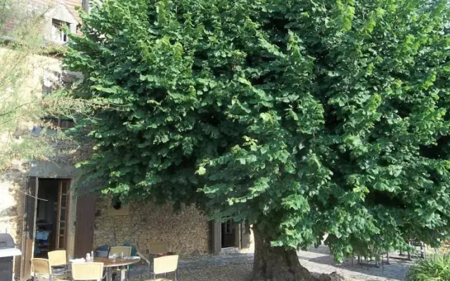 Domaine de la Mothe