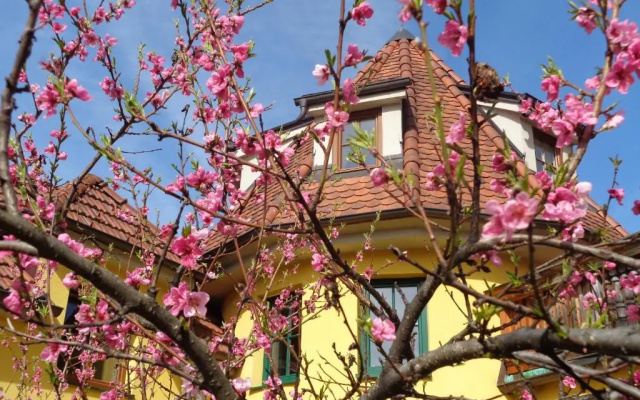 Pension Himmelreich