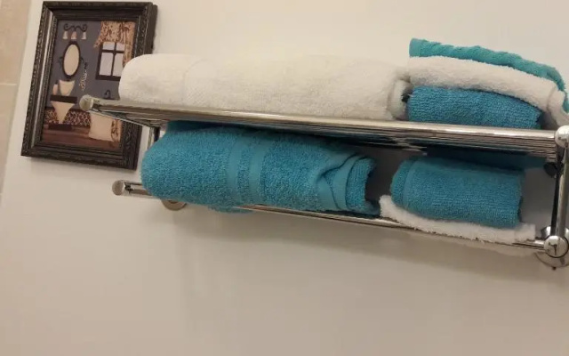 Studio And 1 Bedroom Apartments - Bronx