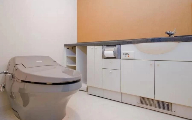 1001A / Huge Penthouse Nihonbashi Mpn66 - Gli 106963