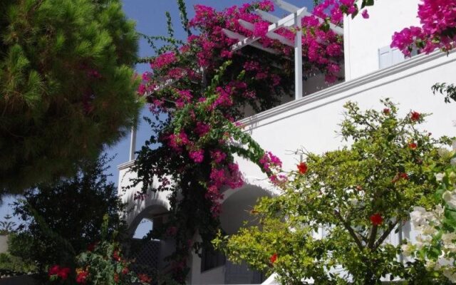 Santorini Houses