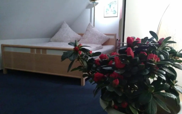 Hotel Rodewisch