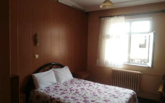 Otel Yeni̇ Çinar