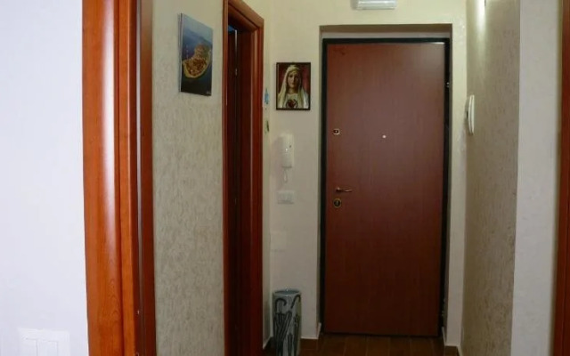 B&B Max