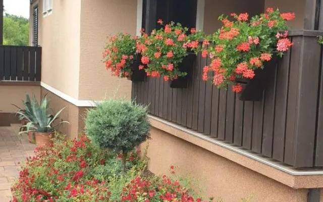Guest Accommodation Marko Kesić