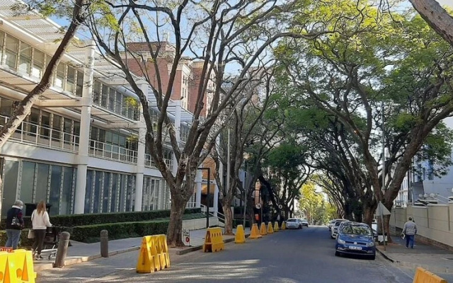 Budget StudentLike Stay Rosebank