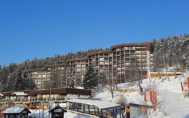 Appartement Villard-de-Lans, 1 pièce, 4 personnes - FR-1-515-69