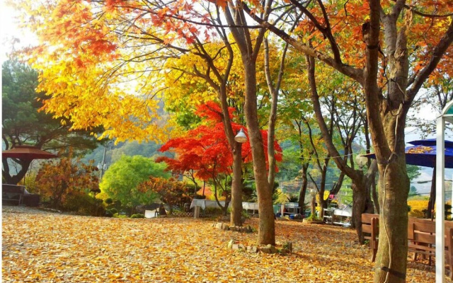 Gapyeong Flower Muji Pension