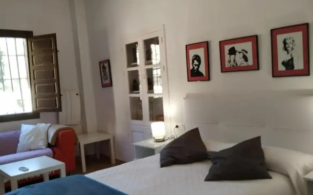 Estudio en Albaicin 1A, Granada