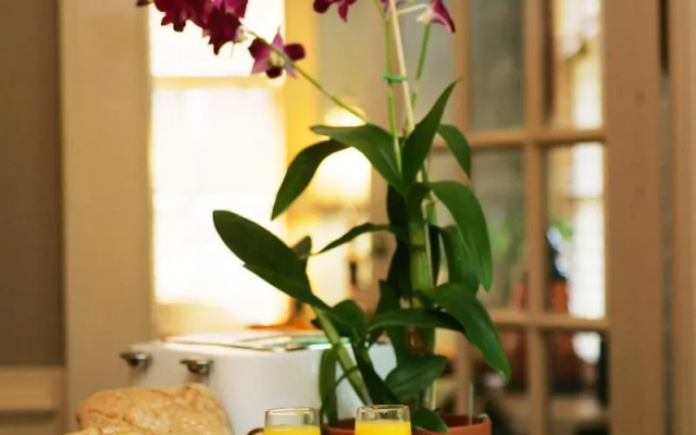 Williamsburg Manor B&B