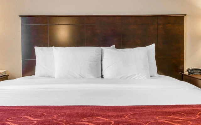 Comfort Suites Saginaw North