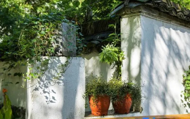 Anji Jinyi · Shijian Streamy Homestay