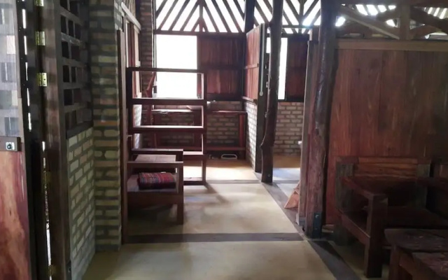 Casa de los Micos Leticia