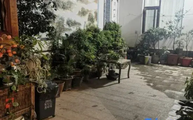 Jinyu Yashe Homestay (Weicheng East Road)