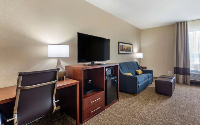 Comfort Suites Clarksville near Governors Square Mall