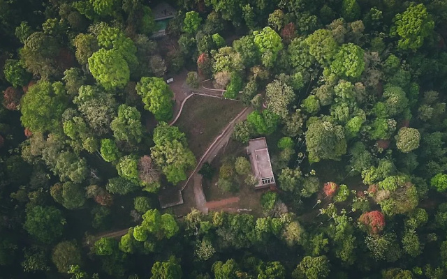Vythiri Wild Forest Resort