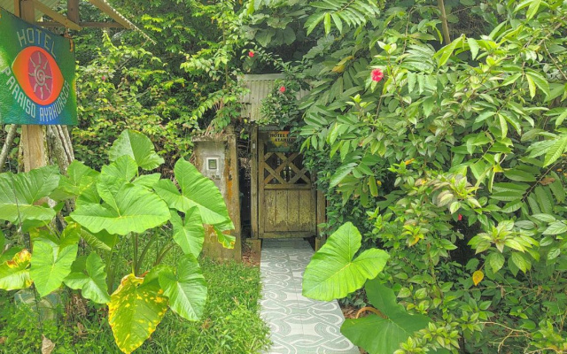 Ayahuasca