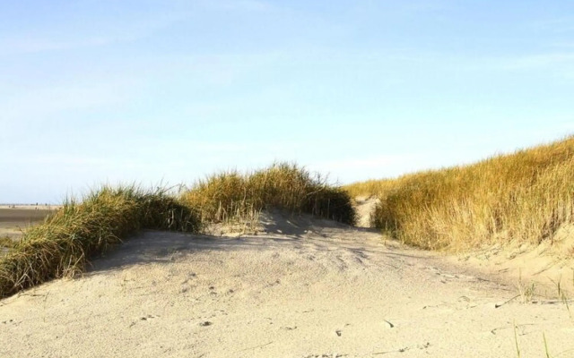 Apartment, St. Peter-Ording