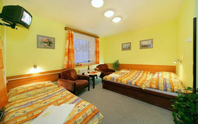 Hotel Stary Mlyn