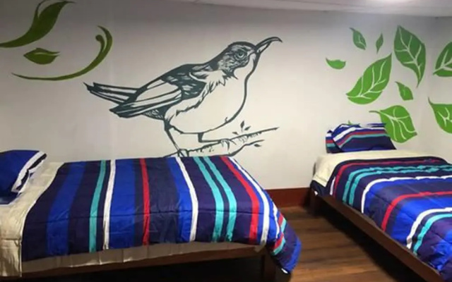 Déjà Vu Backpackers