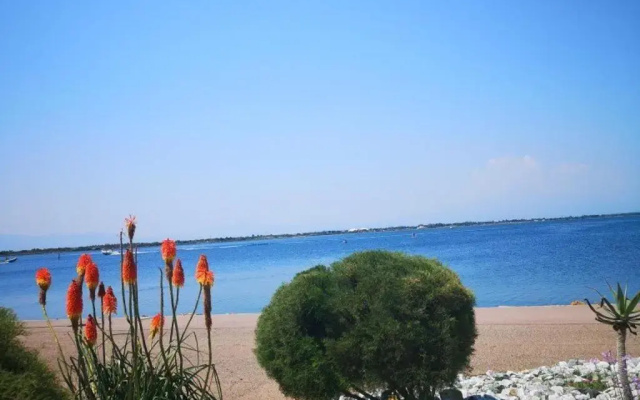 Appartement Port Barcarès, 2 pièces, 4 personnes - FR-1-195-25