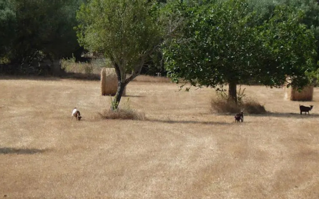 Finca Sa Coma