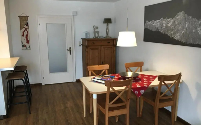 Appartement Liesl, ruim 4 pers. appartement met eigen tuin!