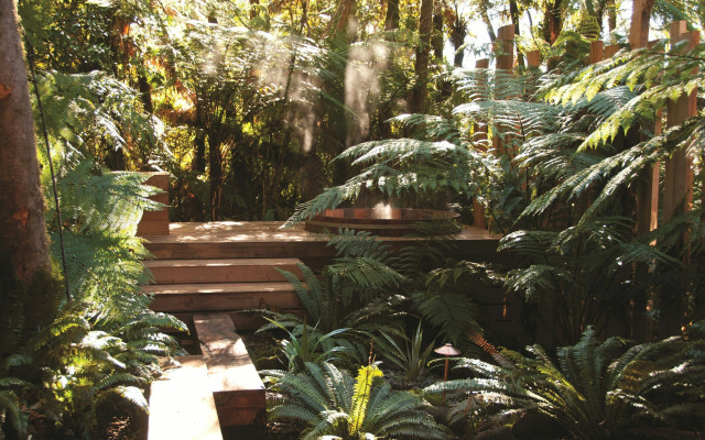 Treetops Lodge & Estate