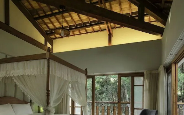 Nine Trees Forest House
