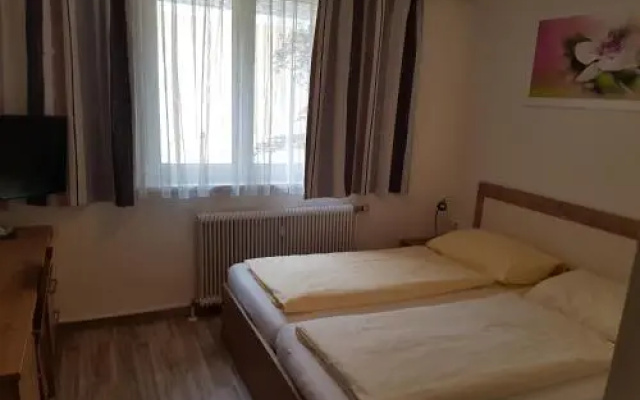 Hotel Lenau