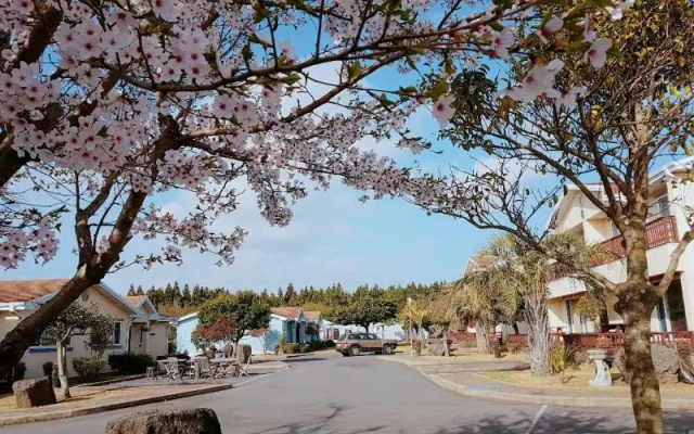 Seogwipo Blaze Resort