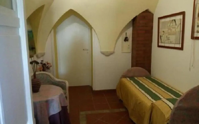 Gecko's House