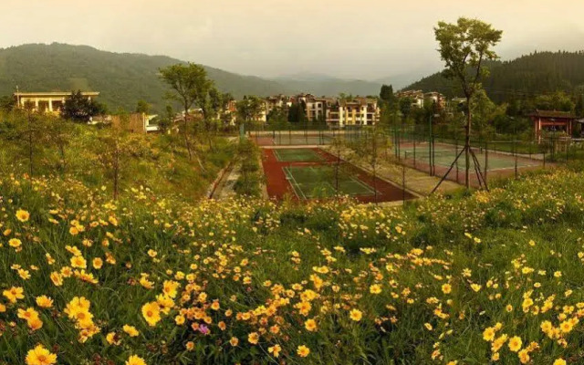 Mount Emei Qilingping Hot Spring Hotel