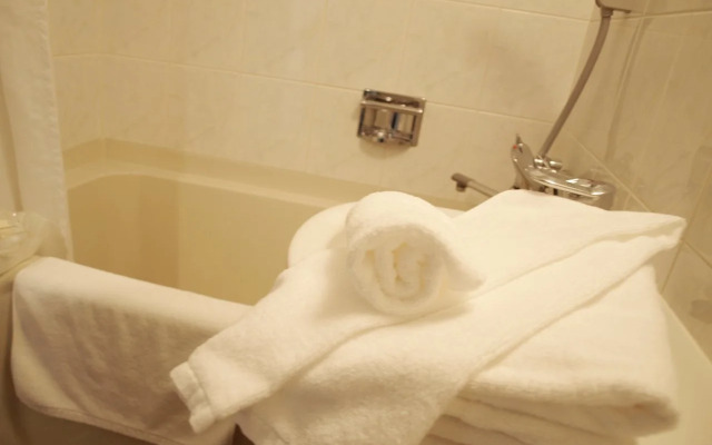Hotel Keihan Tenmabashi