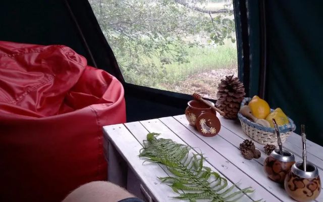 Dome Bungalow Niedras Jurmala