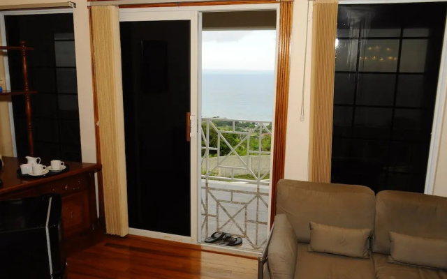 Hillside Ocean View Villa