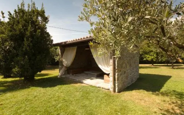 La Cicala