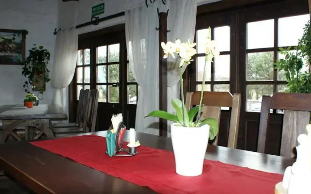 Czarny Koń