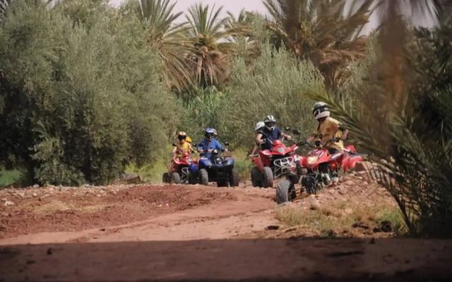 Morocco VIP Travel Desert Ouarzazate