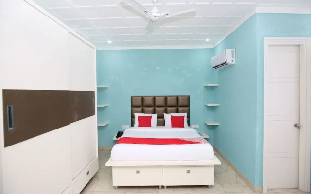 Dream Nest
