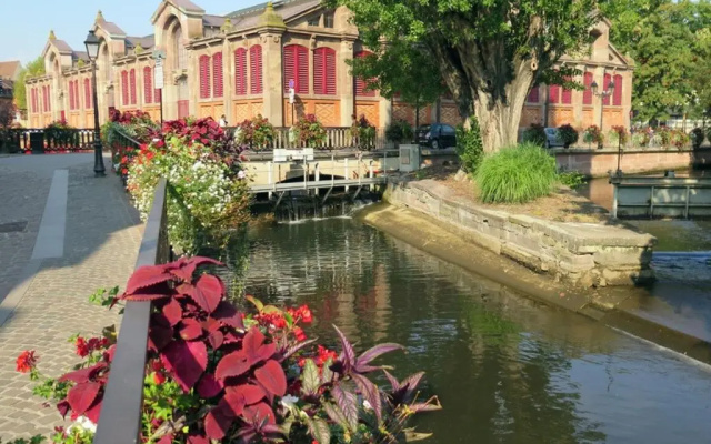 NEW ! Sur les Quais de Colmar avec parking inclus 1710