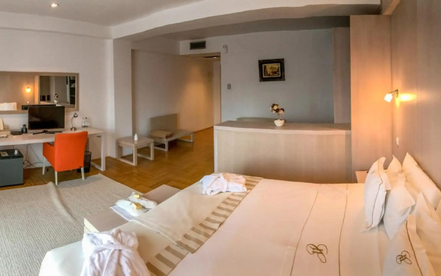 Hotel Satu Mare City