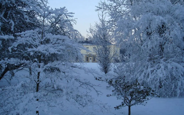 Castle Grove
