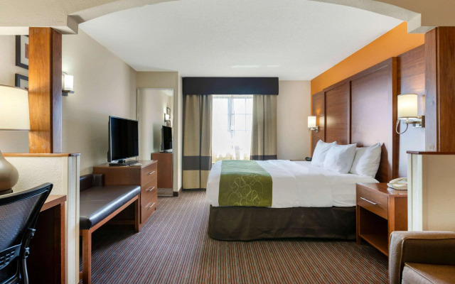 Comfort Suites Stevensville - St. Joseph