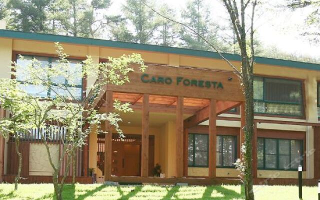 Отель Caro Foresta Yamanakako Яманакако вид на фасад