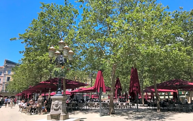 La Rosela de la Cite (Adults Only)